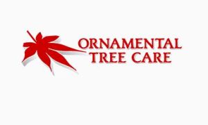 OTC Logo